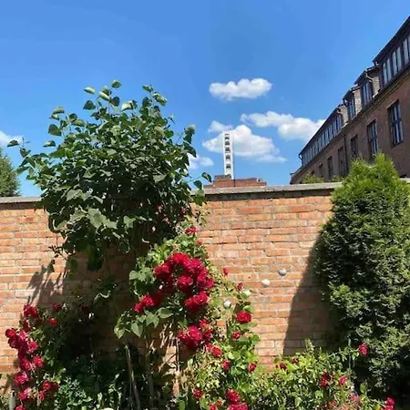 Apartment Old Town On Olowianka Island With Garden *